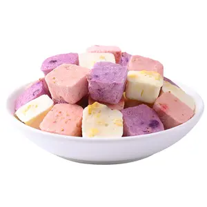 Yaourt séché à la maison, pièces, blocs de yaourt séchés, pour fruits et lait