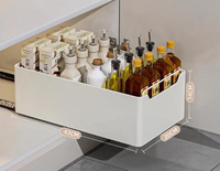 Vente en gros Tiroirs de rangement pour épices adhésifs coulissants en acier au carbone Organisateurs de garde-manger Armoire de rangement pour boîtes