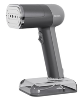 ZR-007 Zhuoruixing Tragbarer Handdampfglätter 1300W 120ml Abnehmbarer Wassertank Anti-Trockengebrauch Doppelspannung Haushalt
