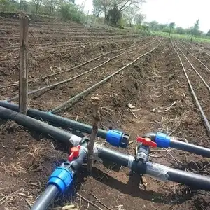 Farm irrigação sistema irrigação tubulação acoplamento agrícola irrigação pp compressão encaixes engate rápido para PE mangueira