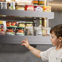 Armário de Cozinha Atacado com Design Personalizado, Cesto Elevatório de 2 Camadas para Armazenamento na Cozinha, Elevador de Armário