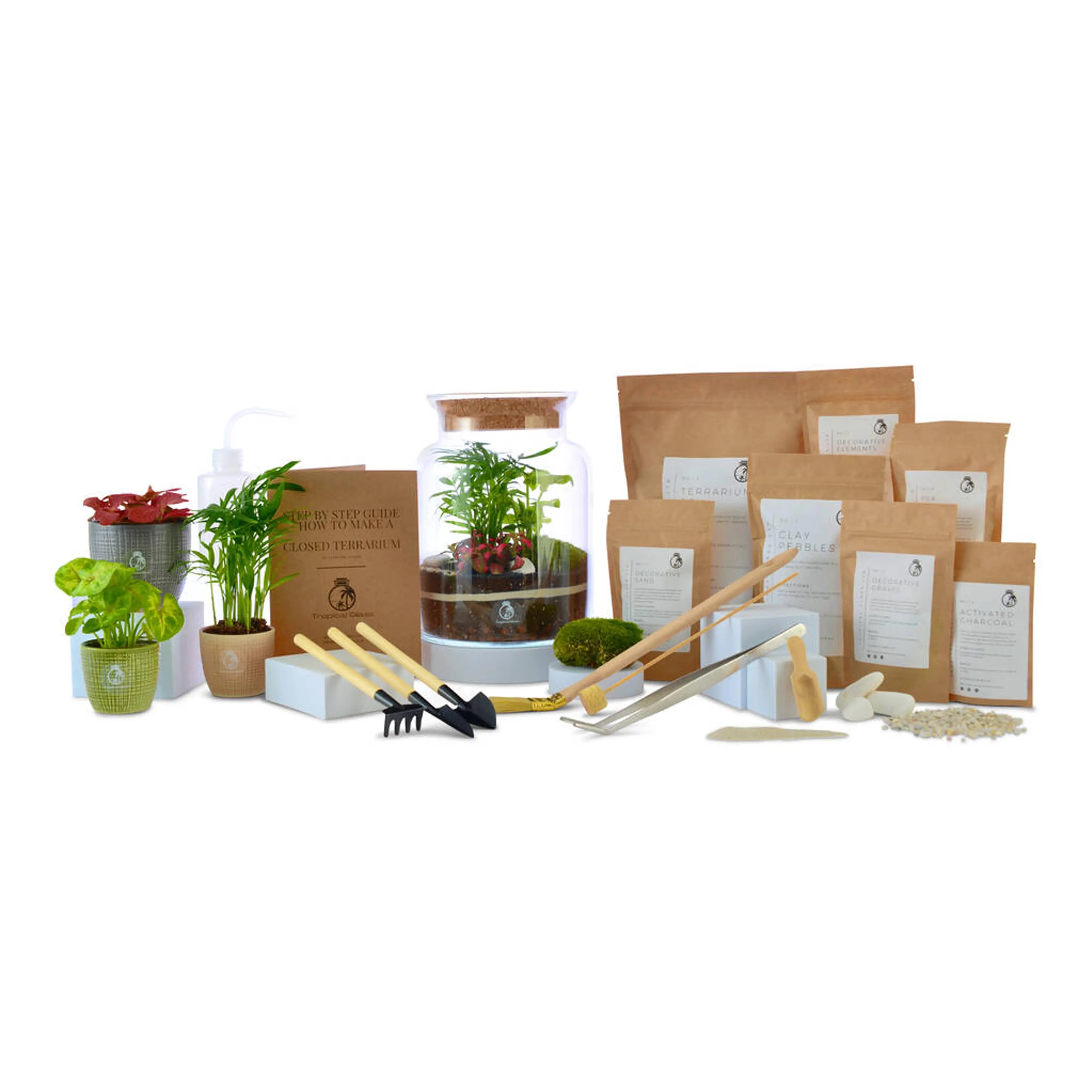 Kit per terrario con barattolo tappato fai da te, kit per terrario mini auto-piante, set con supporto in legno