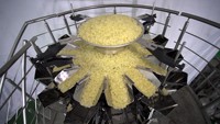12 Hoofd Multihead Schaal Speciaal Voor Fruit En Groenten 14/16 Hoofd Multi-Head Weegmachine