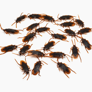 Cafard réaliste en plastique pour Halloween, jouet de farce réaliste pour le Poisson d'avril, 3 cm, pour enfants, style animal - Product Image 2