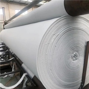 Tissu géotextile de renfort blanc <span class=keywords><strong>pour</strong></span> le traitement de Protection de pente de rivière d'<span class=keywords><strong>allée</strong></span> de <span class=keywords><strong>gravier</strong></span> - Product Image 3