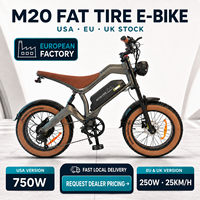 Toptan 250W 48V 15.6Ah Büyük Tekerlekli Şişman Lastikli Dağ EV ET Arazi Şehir E Elektrikli Arazi Bisikleti Bisiklet Fatbike Bisiklet