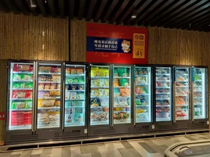 Réfrigérateur Commercial Vertical à Porte Vitrée, Vitrine Réfrigérée pour Boissons Fraîches et Énergisantes, Congélateur - Product Image 6