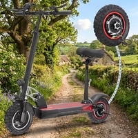 Adult Two-wheeled Electric Scooter, 500 and 800W Inflatable Off-road Tires, with Rear Wheel Motor and Hub.
