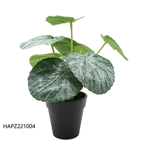 Follaje Artificial Colgante Realista en <span class=keywords><strong>Maceta</strong></span> Negra, Planta Artificial <span class=keywords><strong>de</strong></span> <span class=keywords><strong>Oreja</strong></span> <span class=keywords><strong>de</strong></span> <span class=keywords><strong>Elefante</strong></span> en <span class=keywords><strong>Maceta</strong></span> <span class=keywords><strong>para</strong></span> Decoración Boho del Hogar - Product Image 2