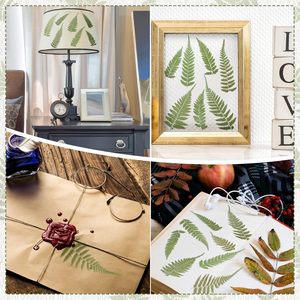 Feuilles vertes séchées pressées en gros pour herbarium, idéales pour la création de bijoux en résine, bougies, savons, nail art, scrapbooking et décorations artisanales - Product Image 4
