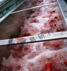 Châu Âu Thiết Kế Triết Lý Nhà Máy Sản Xuất Công Nghiệp Mứt Làm Thiết Bị Máy Móc Trái Cây Dây Chuyền Sản Xuất - Product Image 2