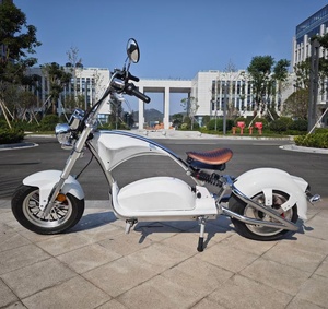 Magazzino EU/US 2024 elettrico auto grasso pneumatico Scooter elettrico Chopper 3000w elettrico moto 4000w chopper citycoco 3000w - Product Image 5