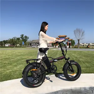 2024 nueva tendencia bicicleta eléctrica de neumáticos gordos 20 pulgadas SUSPENSIÓN COMPLETA Bicicleta de ciudad personalizar bicicleta híbrida eléctrica EE. UU. UE