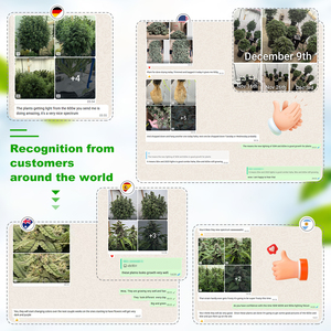 Lámpara LED de Cultivo Industrial Personalizada Samsong Lm281b Lm301h Evo 480W 320W 720W de Espectro Completo UV IR Regulable con Clasificación IP65 de Aluminio - Product Image 2
