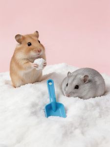 Arena de Baño Ecológica para Hámsteres y Chinchillas DongnaiPETS, Sin Polvo, en Forma de Tiras, Altamente Absorbente, Control de Olores Extra, Desechable por el Inodoro, 1 kg - Product Image 5