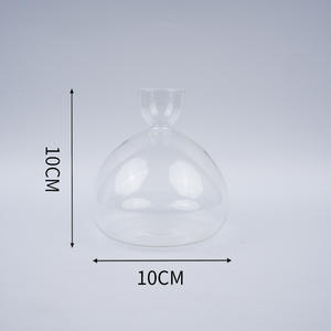 Vases en verre pour la culture des graines d'<span class=keywords><strong>avocat</strong></span>, vente en gros d'usine - Product Image 5