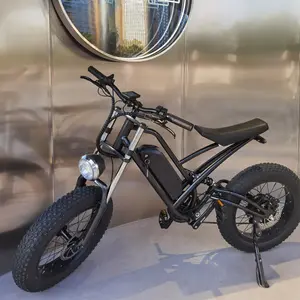 전기 자전거 750W bafang 모터 48V L G 배터리 강력한 전기 오토바이 20 인치 지방 타이어 전자 자전거
