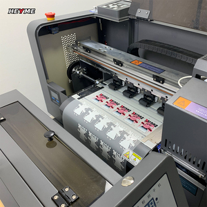 All in One DTF <strong>Printer</strong> <strong>and</strong> Powder Dyer Machine Set 33cm XP600 I3200 for A3 A2 30cm 60cm Print Sizes - Product Image 3