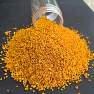 Polen de Abeja Orgánico 100% Natural, Nuevo Certificado HACCP e ISO, Suministro a Granel de Alta Calidad, Grado Alimenticio, en Bolsa - Product Image 1