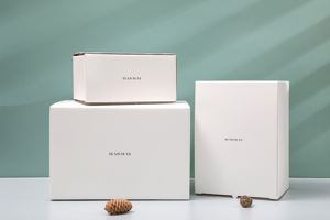 Tùy chỉnh nhỏ màu trắng sóng Hội Đồng Quản trị giấy các tông hộp bưu phẩm lá thông số kỹ thuật dập nổi tùy chỉnh bao bì vận chuyển - Product Image 4