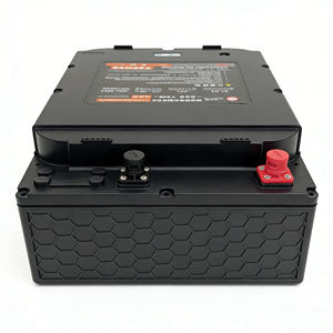 Batteria LiFePO4 60V 50Ah con BMS Integrato, Ciclo Profondo per Veicoli Elettrici a 2 e <span class=keywords><strong>3</strong></span> Ruote - Product Image 1
