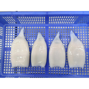 Tubo di Calamaro Congelato IQF Senza Pelle Pulito U5 U7 U10 Disponibile in Bulk Personalizzabile - Product Image 1