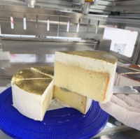 Machine de découpe alimentaire ultrasonique servo pour la découpe de portions de gâteaux congelés, avec nettoyage automatique, en acier inoxydable, pour la sécurité et la transformation en boulangerie