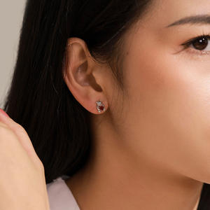 Pendientes de Plata de Ley S925 con Forma de Corazón y Circonita Roja, Serie Animal, Versión en Cobre Personalizable, Regalo para Ella - Product Image 5