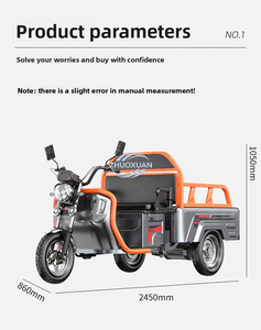 Tricycle électrique à 3 roues, caisse ouverte, moto cargo pour adultes, directement de l'usine - Product Image 3