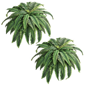 Planta Artificial de Helecho Angus de 100-200 cm, Hojas Ovaladas de Seda, Decoración para Bodas y Hogar, Revestimiento de Pared, Alta Simulación Tropical - Product Image 5