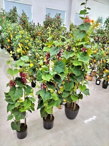 Cây Nho Nhân Tạo Kích Cỡ Khác Nhau Với Trái Nho - Product Image 6