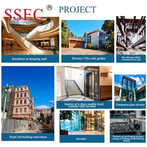 Ascensor Residencial de Acero Inoxidable para Viviendas, con Cabina Elegante, de SSEC China Suzhou SEC Supplier - Product Image 5
