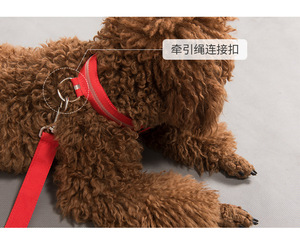 Dericsson USB Rechargeable LED Adjustable <b>Dog</b> Collar Simple Style Polyester Material RGB <b>Lighting</b> for Cats & <b>Dogs</b> - Product Image 2