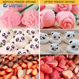 Lyophilisateur domestique à faible consommation d'énergie, simple d'utilisation, de taille compacte pour fruits, légumes et mélanges de fruits secs - Product Image 5