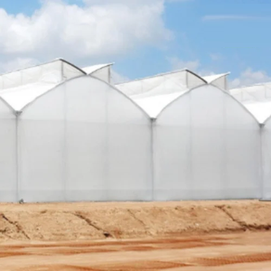 Serre à double pente en polyéthylène à ventilation naturelle, haute résistance et durable, avec design à double pente optimisant le flux d'air naturel et la protection UV - Product Image 6