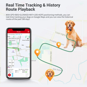 Nhà Máy Giá 4G Bò GPS Bds <span class=keywords><strong>Tracker</strong></span> Miễn Phí Nền Tảng C011 Thời Gian Dài Chờ Xách Tay Pet GPS <span class=keywords><strong>Tracker</strong></span> - Product Image 4