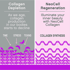 Oem Odm Multi-Collagen (Types I, II, III, V & X) Capsules de Peptides de Collagène - Product Image 4