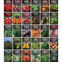 Kit de jardinage pour la culture de plantes et la survie alimentaire, sachet de 30 graines de légumes non-OGM, variétés anciennes, pour utilisation au sol, intérieur et extérieur
