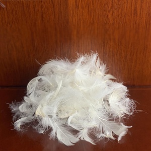Bán Buôn Rửa Trắng Vịt Xuống Lông Đầy Pluming Công Cụ Comforter Ngỗng Xuống Lông Điền Plume Vịt Lông - Product Image 6