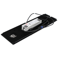 Panneau LED Quantum Board à spectre complet Grow Lights LM301H EVO 240W pour la culture en intérieur de plantes succulentes, d'herbes et de fleurs