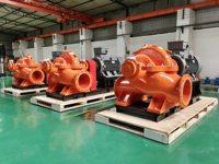 Pompe à eau professionnelle à double aspiration pour centre de données