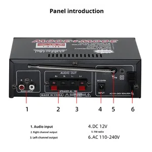 Усилитель BT-198E для монофонических мини-колонок, усилитель мощности с USB-приемником, слот для карты памяти, 12В/220В, производство Китай - Product Image 4
