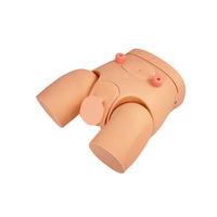 Modelo de demostración de entrenamiento de cateterismo masculino y femenino de entrenamiento médico-Ideal para Educación de enfermería