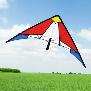 Personalizado dois power parafoil kite esporte de energia mais forte para treinamento e voo power kite