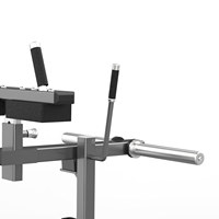 Machine commerciale de soulevé de mollets assis pour musculation et entraînement physique, avec bancs et supports d'assistance