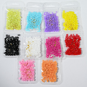 200 Piezas <span class=keywords><strong>de</strong></span> Adornos y Decoraciones <span class=keywords><strong>de</strong></span> <span class=keywords><strong>Uñas</strong></span> con <span class=keywords><strong>Flores</strong></span> <span class=keywords><strong>de</strong></span> <span class=keywords><strong>Resina</strong></span> 3D No Tóxicas con Excelente Efecto <span class=keywords><strong>de</strong></span> Arte <span class=keywords><strong>de</strong></span> <span class=keywords><strong>Uñas</strong></span> <span class=keywords><strong>para</strong></span> Manicura DIY, 12 Colores - Product Image 2