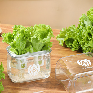 Plantes artificielles écologiques en pot, mini-plantes en plastique PP pour la maison, le jardin, le bureau, la décoration, la culture aquaponique de la laitue, 6 - Product Image 2