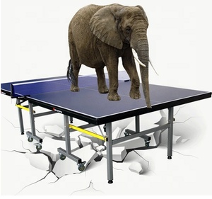 Extérieur dhs mobile foldaing <span class=keywords><strong>fixe</strong></span> étanche en plein air <span class=keywords><strong>table</strong></span> de <span class=keywords><strong>ping</strong></span>-<span class=keywords><strong>pong</strong></span> - Product Image 2
