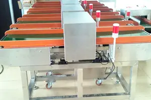 Metal Detection Equipment/Tunnel Metal Detector For Food Processing Industry