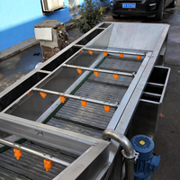 Industriële Verse Groente Fruit Reiniging Droogverwerking Machines Droogdata Wasmachine Te Koop